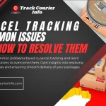 Parcel Tracking Common Issues and How to Resolve Them